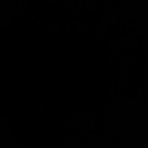 Meet your Posher, Alize